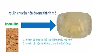 Video 14 - Làm sao để cơ thể đốt mỡ giảm cân?